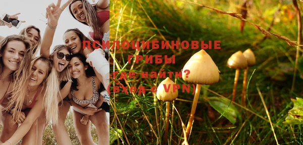дмт Алзамай
