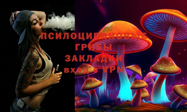мет Алексин