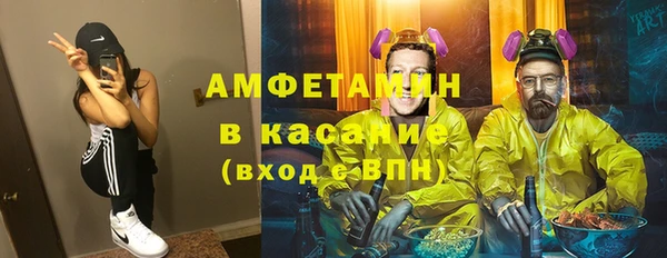 мет Алексин