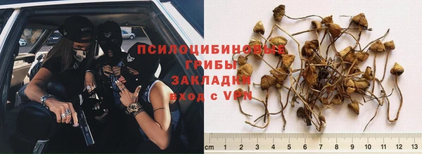дмт Алзамай