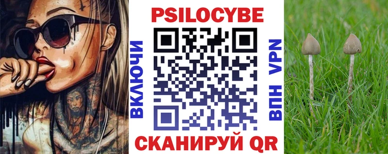 Галлюциногенные грибы мухоморы  ссылка на мегу как зайти  Ветлуга  хочу наркоту 