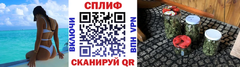 blacksprut tor  Ветлуга  Бошки Шишки индика 